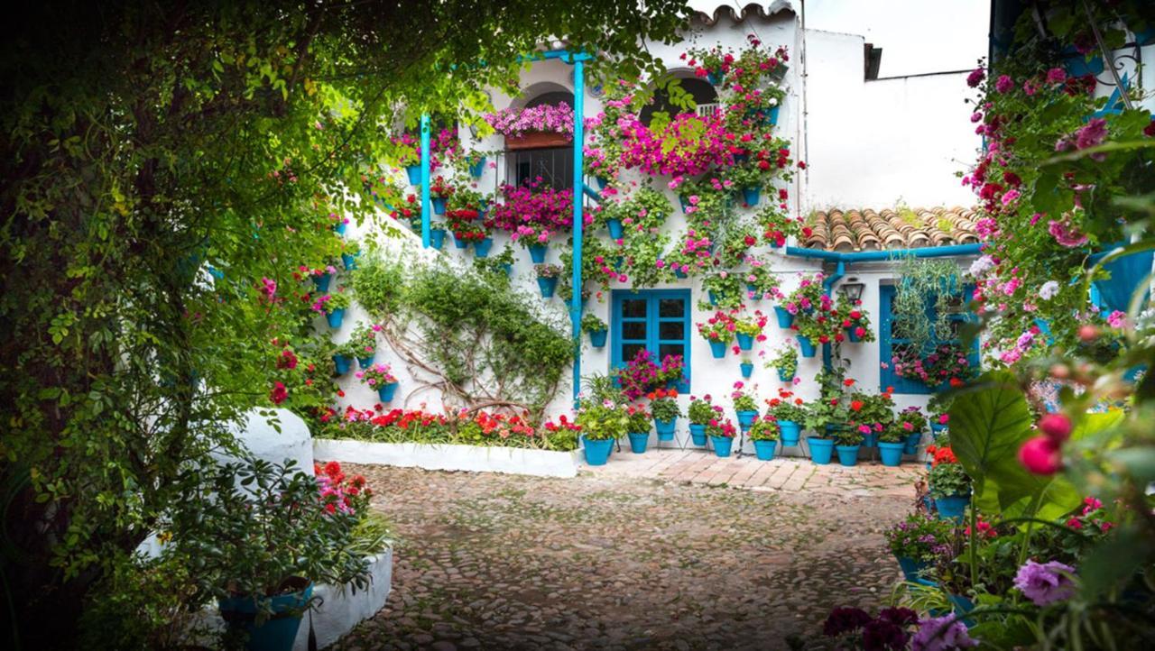 Apartamento Anita'S Place Córdoba Eksteriør bilde